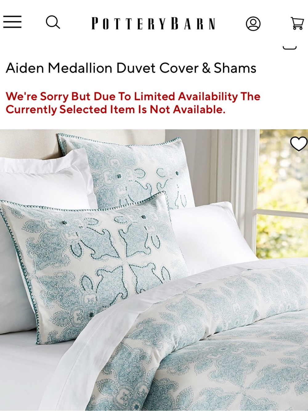 Pottery Barn Aiden Medallion Duvet Cover & Shams in Aqua and White